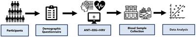 The neuroimmune pathway of high-altitude adaptation: influence of erythrocytes on attention networks through inflammation and the autonomic nervous system